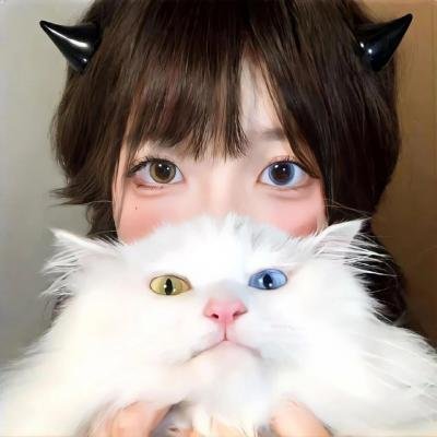 金鹰宝藏