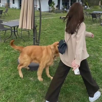 巴贝特之宴